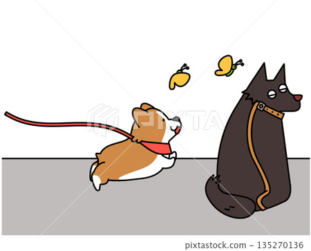 Illustration of a Corgi pulling energetically on a walk versus a calm dog 135270136