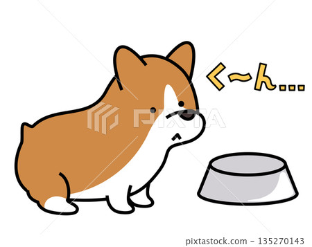 圖：一隻柯基犬對著空盤子吠叫，似乎在討要食物。 135270143