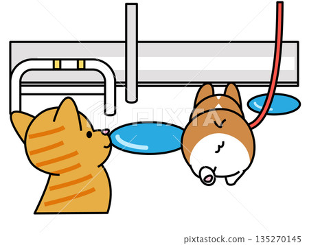 Illustration of a Corgi and a cat looking into a puddle while walking after the rain 135270145