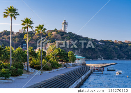 [Kanagawa Prefecture] Early morning scenery of Enoshima 135270510