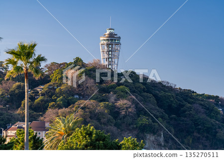 [神奈川縣]江之島的清晨風景 135270511