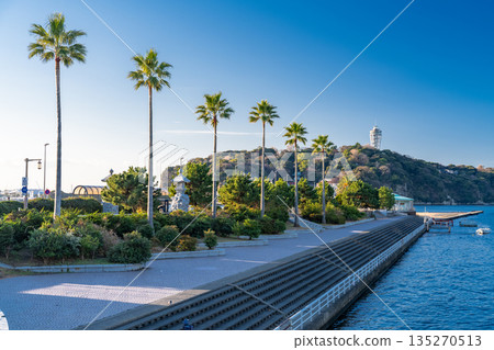 [Kanagawa Prefecture] Early morning scenery of Enoshima 135270513