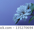 Close-up of a white flower with water droplets on a light blue-purple background 135270694