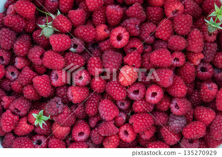 Freshly picked raspberries on a white background ready for summer desserts and healthy snacking in a garden setting 135270929