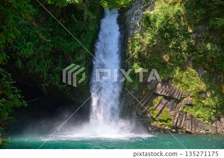 [Joren Falls] Waterfall flowing from the summer forest 135271175