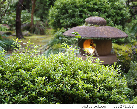 Scenery of Japanese garden 135271198