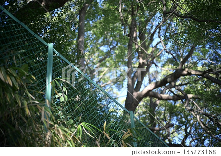 圍欄和森林公園防跌倒圍欄 135273168