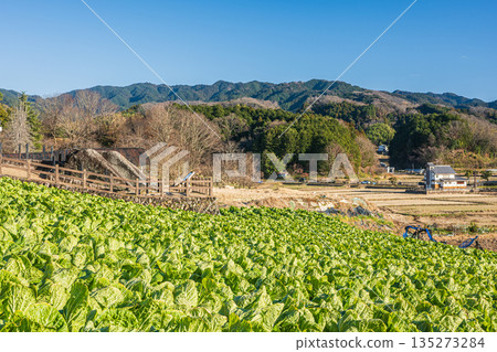 奈良縣飛鳥村遺址與菜地 135273284