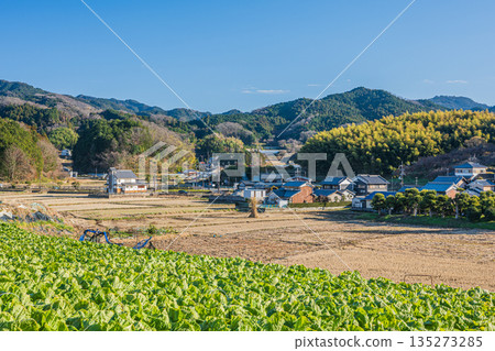 奈良縣飛鳥村的冬季景色 135273285