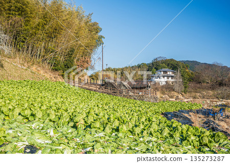 奈良縣飛鳥村遺址、鬼之雪隱村及菜地 135273287