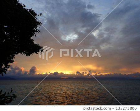 凱恩斯的日落 凱恩斯的日落 135273800