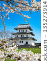 Matsumae Castle through the cherry blossoms 135273914