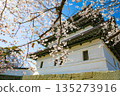 Matsumae Castle and Somei Yoshino cherry blossoms 135273916