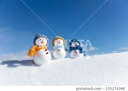 雪地和雪人 135274366