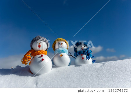 Snowy field and snowmen Snowy field and snowmen 135274372