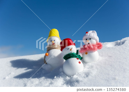 雪地和雪人 135274380