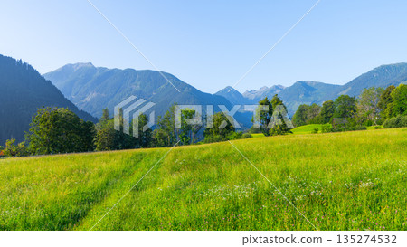 Breathtaking views of the low tauern mountains reveal lush green fields and towering peaks under a clear blue sky. Nature thrives in this serene Austrian landscape, perfect for outdoor adventures. Breathtaking views of the low tauern mountains reveal lush green fields and towering peaks under a clear blue sky. Nature thrives in this serene Austrian landscape, perfect for outdoor adventures. 135274532