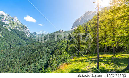 Lush green valleys and towering peaks characterize the Julian Alps on a sunny day. Trees frame the scene, emphasizing the region's natural beauty and vibrant landscape. Lush green valleys and towering peaks characterize the Julian Alps on a sunny day. Trees frame the scene, emphasizing the region's natural beauty and vibrant landscape. 135274560