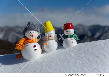 Snowy field and snowmen 135274576