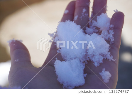 孩子手掌上的雪 01 135274787