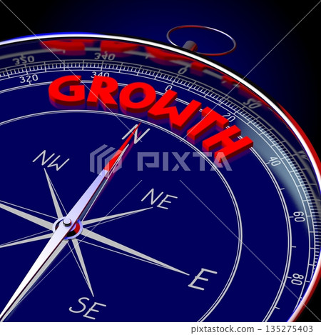 Growth - 3D compass illustration 135275403