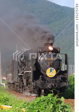 SL Yamaguchi D51 SL Yamaguchi D51 135275784