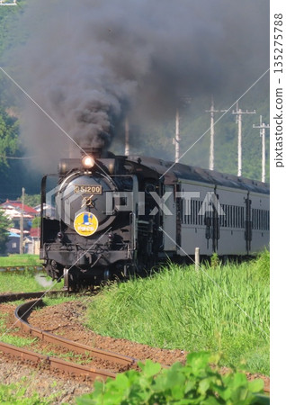 SL Yamaguchi D51 SL Yamaguchi D51 135275788