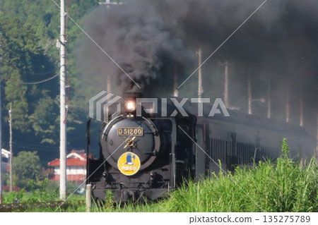 SL Yamaguchi D51 SL Yamaguchi D51 135275789