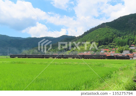 SL Yamaguchi D51 SL Yamaguchi D51 135275794