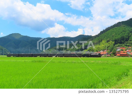 SL Yamaguchi D51 SL Yamaguchi D51 135275795