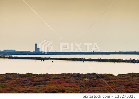Las Salinas nature, Cabo de Gata, Spain Las Salinas nature, Cabo de Gata, Spain 135276325