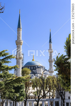 Sultan Ahmed Mosque in Istanbul 135276603