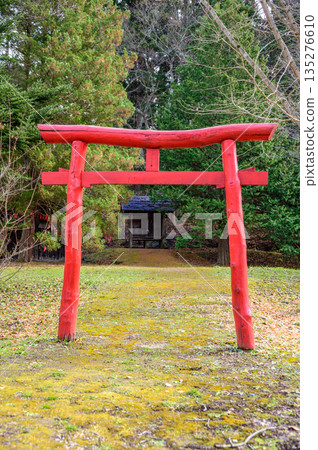 深秋時節，遠野故鄉的紅色鳥居。 135276610