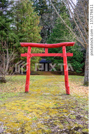 深秋時節,遠野故鄉的紅色鳥居。 深秋時節,遠野故鄉的紅色鳥居。 135276611