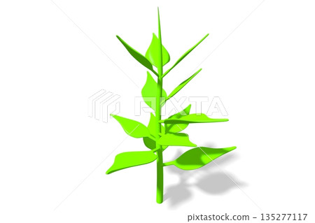Plant on white background - 3D illustration 135277117