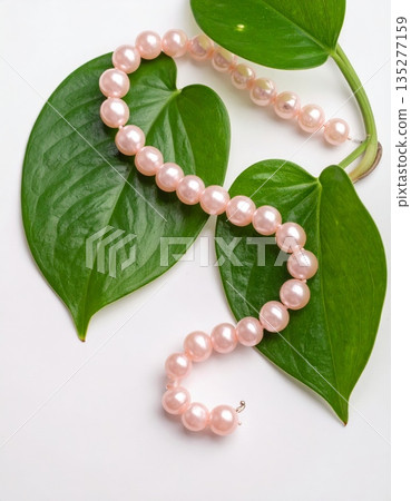 Ripe green apple with leaves and red grapes on a garden branch isolated on white for a nature food closeup Ripe green apple with leaves and red grapes on a garden branch isolated on white for a nature food closeup 135277159