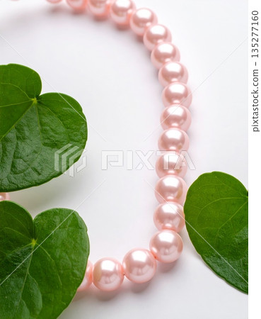 Ripe green apple with leaves and red grapes on a garden branch isolated on white for a nature food closeup 135277160