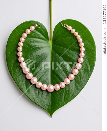 Ripe green apple with leaves and red grapes on a garden branch isolated on white for a nature food closeup Ripe green apple with leaves and red grapes on a garden branch isolated on white for a nature food closeup 135277162