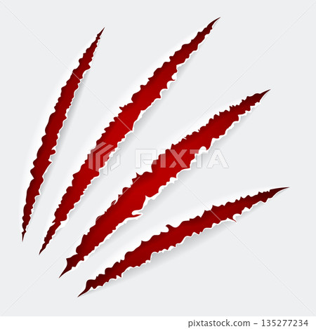 Scratch Claws of Animal 135277234