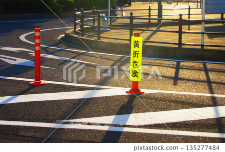 一條設有「危險路口」標誌的道路（靠近埼玉快速鐵道南鳩谷站） 135277484