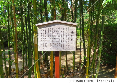[Yamaguchi Prefecture] Filial Piety Bamboo at Shoin Shrine 135277514