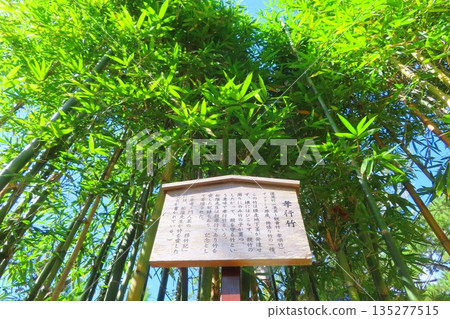 【山口縣】書院神社的孝竹 【山口縣】書院神社的孝竹 135277515