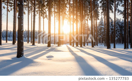 A frozen sunlit road winds through a snowy winter forest where frost-covered trees line a quiet white landscape under a clear blue sky A frozen sunlit road winds through a snowy winter forest where frost-covered trees line a quiet white landscape under a clear blue sky 135277783