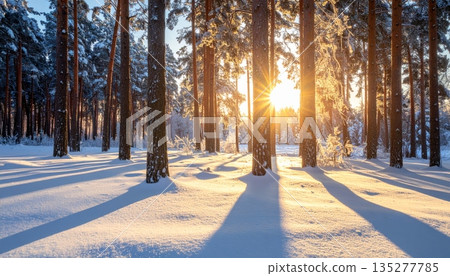 A frozen sunlit road winds through a snowy winter forest where frost-covered trees line a quiet white landscape under a clear blue sky 135277785