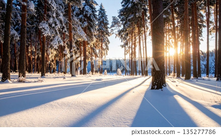 A frozen sunlit road winds through a snowy winter forest where frost-covered trees line a quiet white landscape under a clear blue sky 135277786
