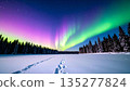 Winter aurora and snowy fields 135277824
