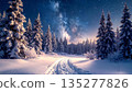 Winter forest and starry sky 135277826