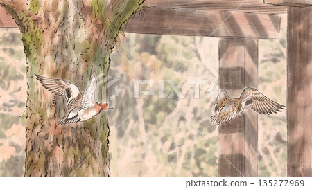 飛鳥 飛鳥 135277969