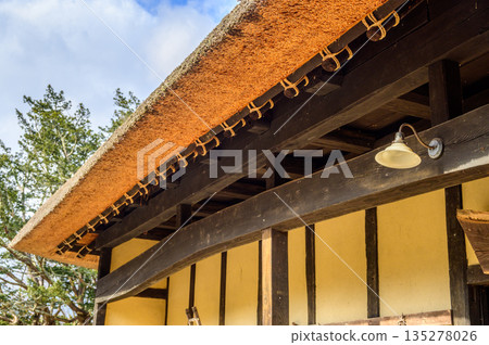 The curved thatched roof of Yajuro-don's Nambu Magari-ya house in Tono Furusato Village in late autumn 135278026