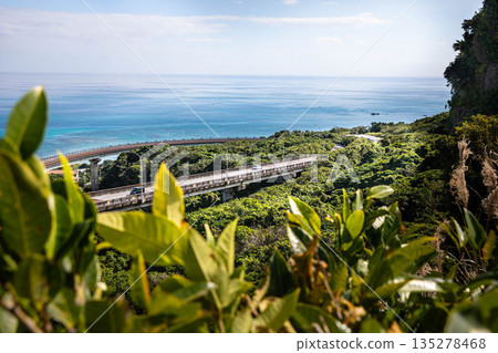 沖繩駕駛形象（新井金內大橋） 135278468